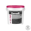 CERESIT CT 760 VISAGE
